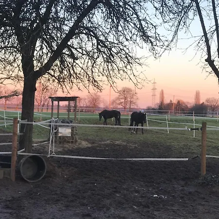 Frühstückspension Ks Kotten Rees