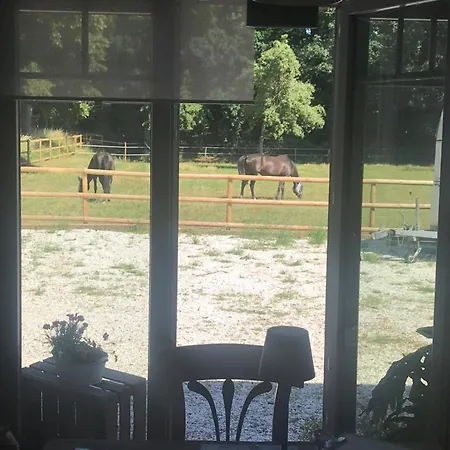 Bed & Breakfast Ks Kotten *